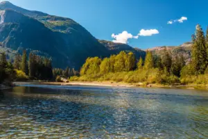 Skeena