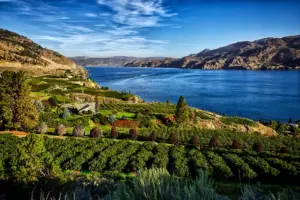 Thompson-Okanagan