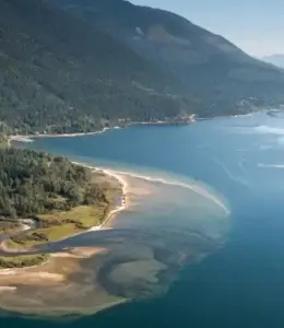 Kootenays