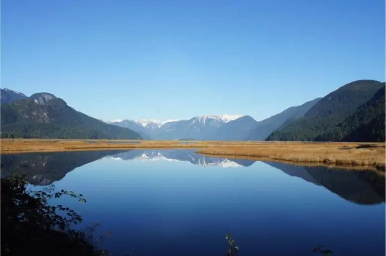 pitt lake