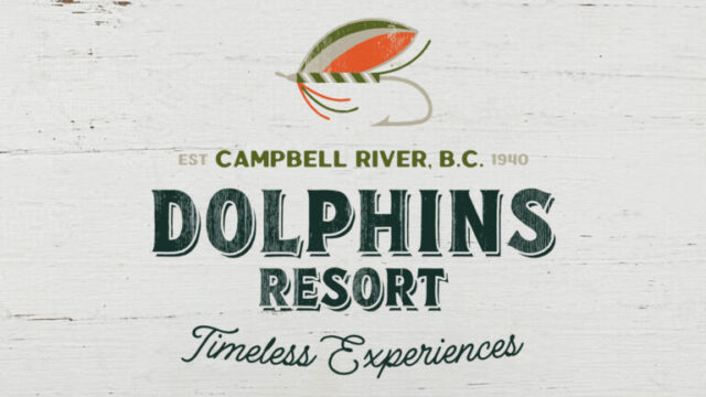 Dolphins-Gallery-2-768×503